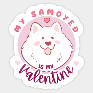 My samoyed is my valentine - a cute funny gift for valentine day dog lovers Sticker